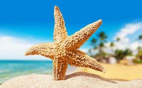 Sea Star Apartments