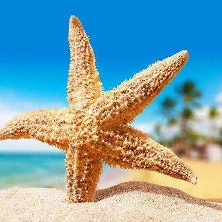 Sea Star Apartments Одеса Екстер'єр фото